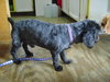 Roper (Hospice) - ADOPTED-12.31.15