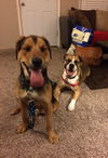 Dodge - ADOPTED 03.08.15
