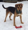Dodge - ADOPTED 03.08.15