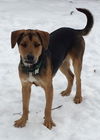 Dodge - ADOPTED 03.08.15