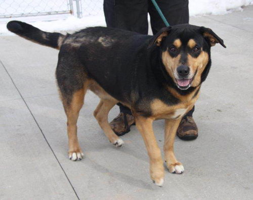 Thor-ADOPTED-3.19.15