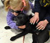 Kn Litter Zena - ADOPTED 04.09.15