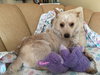 Franklin-ADOPTED-4.15.15