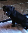 Mn Litter Arbor - ADOPTED 04.18.15
