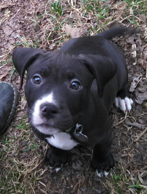 Mn Litter Arbor - ADOPTED 04.18.15
