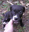 Mn Litter Arbor - ADOPTED 04.18.15