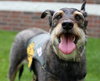 Cindy Lou (FP)-ADOPTED-6.18.15