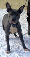 Athena-ADOPTED-6.5.15