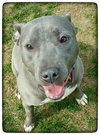 Athena-ADOPTED-6.5.15