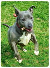 Athena-ADOPTED-6.5.15