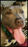 Athena-ADOPTED-6.5.15