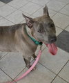 Athena-ADOPTED-6.5.15