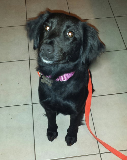 Khloe-ADOPTED-5.1.15