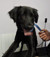 Khloe-ADOPTED-5.1.15