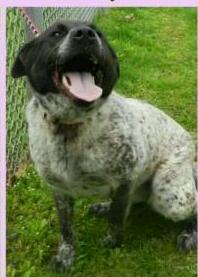 Miranda - ADOPTED 05.09.15