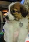 Rn Litter Jericho - ADOPTED 05.02.15
