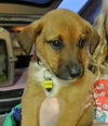 Rn Litter Bethany - ADOPTED 05.02.15