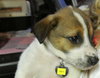 Rn Litter Sky - ADOPTED 05.02.15