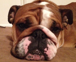 Fiona-ADOPTED-6.2.15