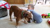 Fiona-ADOPTED-6.2.15