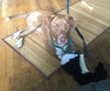 Dieter - ADOPTED 05.18.15
