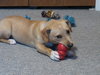 Drift - ADOPTED 05.03.15