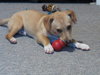 Drift - ADOPTED 05.03.15