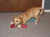 Drift - ADOPTED 05.03.15