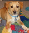 Drift - ADOPTED 05.03.15