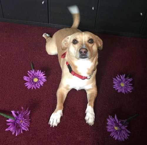 Drift - ADOPTED 05.03.15