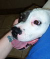Margo - ADOPTED 05.26.15