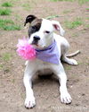 Margo - ADOPTED 05.26.15