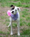 Margo - ADOPTED 05.26.15