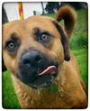 Marty - ADOPTED 06.28.15