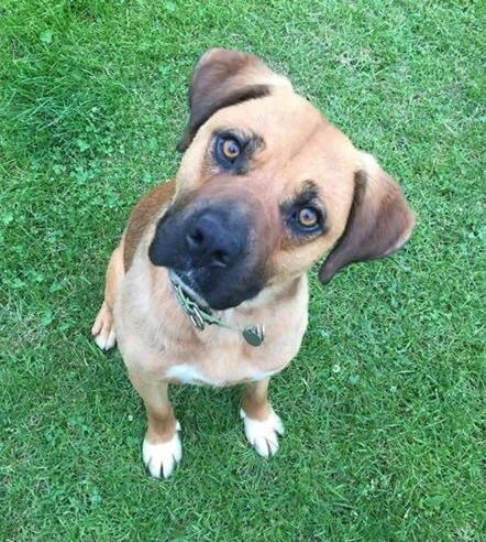 Marty - ADOPTED 06.28.15