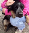 Wn-Sage-ADOPTED-6.19.15