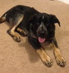 Wn-Sage-ADOPTED-6.19.15