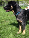 Wn-Sage-ADOPTED-6.19.15