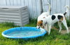 Ao-Tessa-ADOPTED-7.1.15