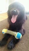 Dudley - ADOPTED 07.24.15