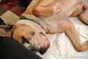 Soter (HP) - ADOPTED 3.13.16
