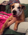 Soter (HP) - ADOPTED 3.13.16