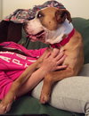 Soter (HP) - ADOPTED 3.13.16