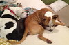 Soter (HP) - ADOPTED 3.13.16