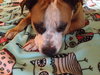 Soter (HP) - ADOPTED 3.13.16