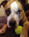 Soter (HP) - ADOPTED 3.13.16
