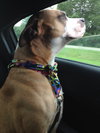 Soter (HP) - ADOPTED 3.13.16