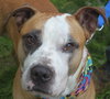 Soter (HP) - ADOPTED 3.13.16