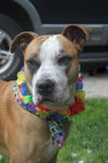Soter (HP) - ADOPTED 3.13.16