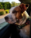 Soter (HP) - ADOPTED 3.13.16